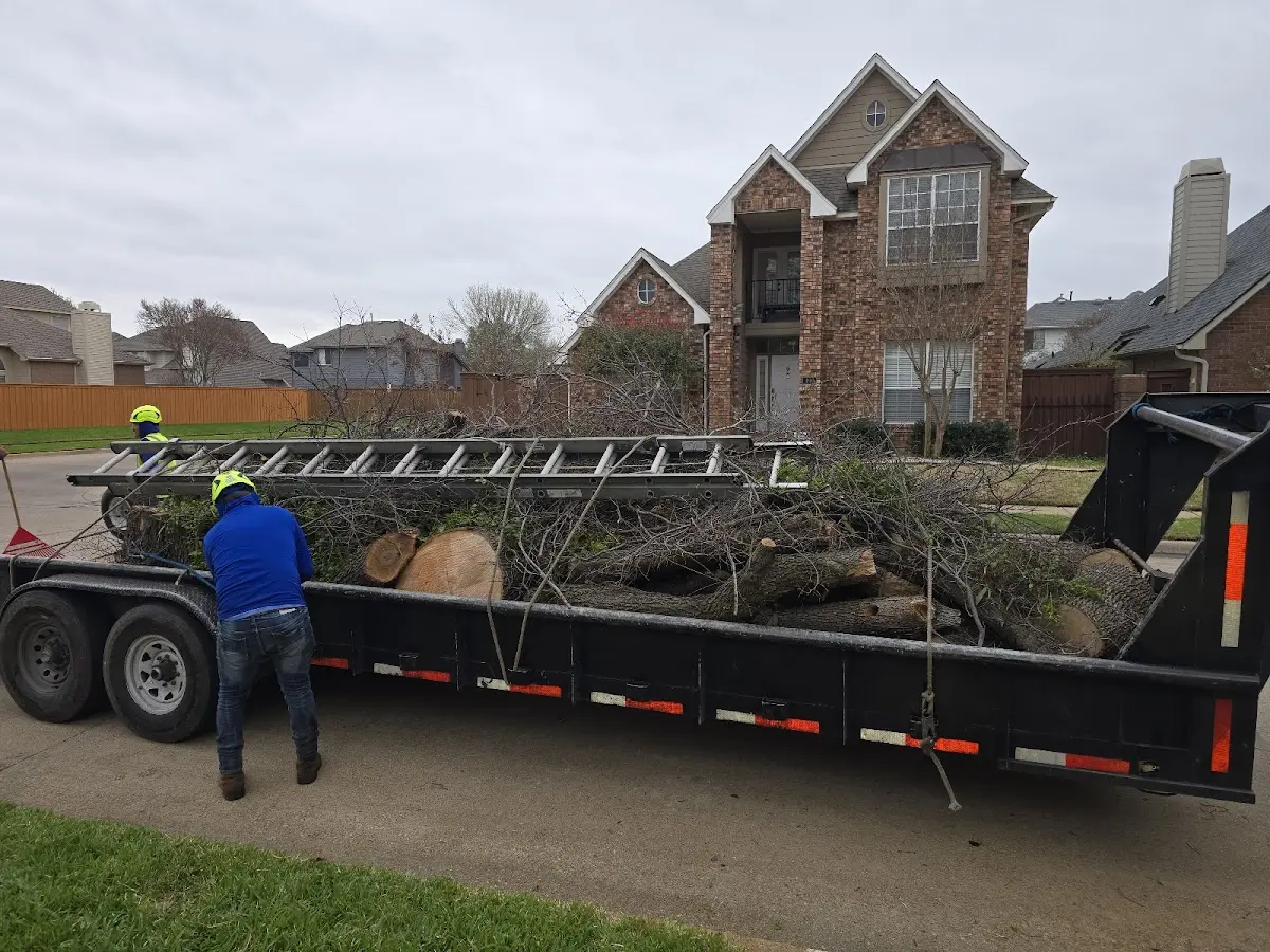 Expert Lot Clearing with proper safety equipment in Urbana